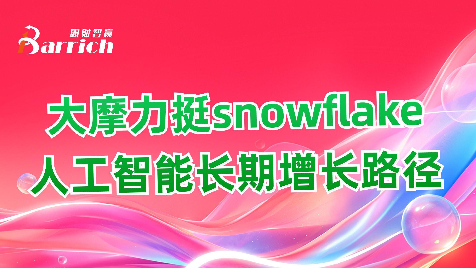 大摩力挺snowflake，人工智能长期增长路径
